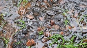 Музыкотерапия. Звуки природы. Дождь.