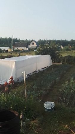 8 июня 2025 года С праздником.mp4