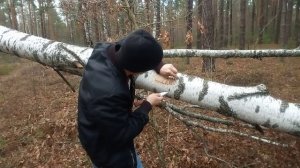 Как развести костёр в сырых условиях