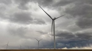 Удивительне виды