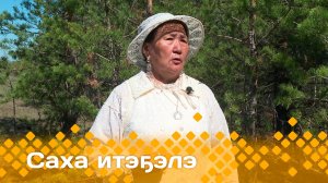 «Саха итэҕэлэ»  (08.06.25)