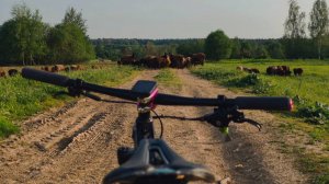 Клин-Солнечногорск-Клин