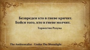 The Ambientalist - Under The Moonlight