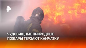 В трех районах Камчатки объявлен особый режим из-за лесных пожаров