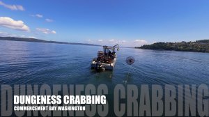 🦀 Один день из жизни ловцов краба Данженесс ⚓