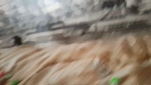 Амнямания Серия 4 Часть 1 Моя Озвучка.