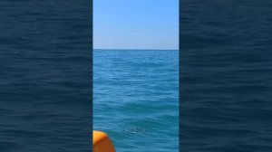 ДАГОМЫС. Катамараны. Видео Надежды Деевой