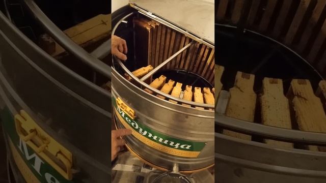 Откачка весеннего мёда в сезоне 2025.