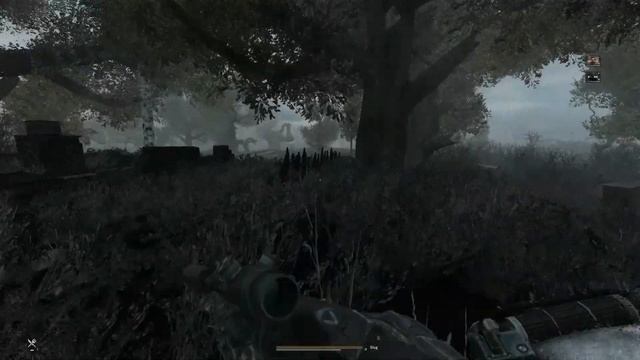 S.T.A.L.K.E.R. ANOMALY Custom. Часть 31.