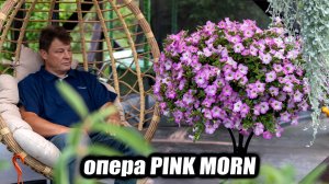 Петуния-гигант как вырастить монстра на одном корне (2025)