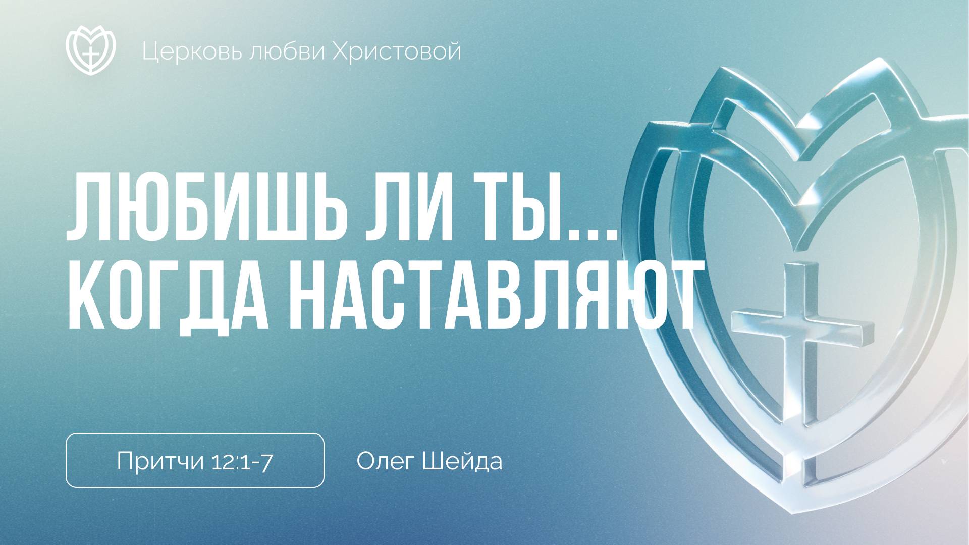 Любишь ли ты когда тебя наставляют? | Олег Шейда