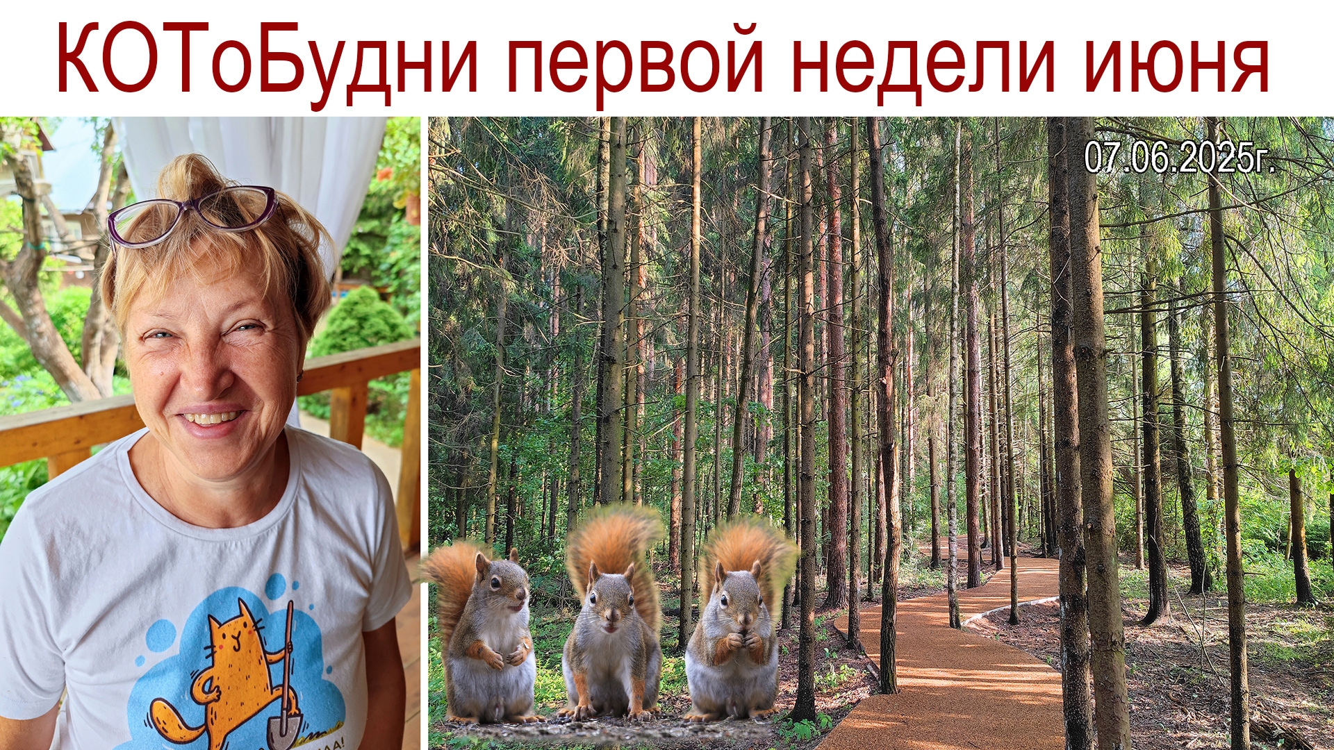 КОТоБудни: Ну до чего же хороши и ярки краски лета...