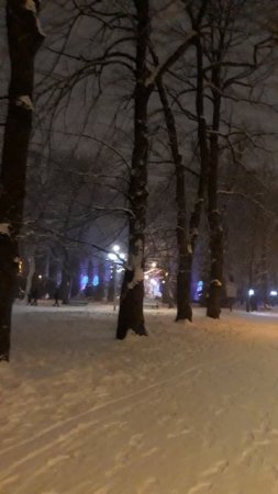 Владикавказ2019. Городской заснеженный парк