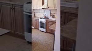 АРЕНДА. СЕВАСТОПОЛЬ 1Я КВ ПРОСПЕКТ АНТИЧНЫЙ 62
+79782000584
