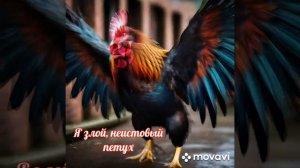 Песня - Я злой, неистовый петух.