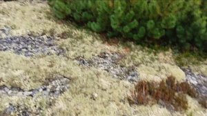 За хариусом на Кулу. Часть 3: посёлок Омчак - совхоз Кулу.