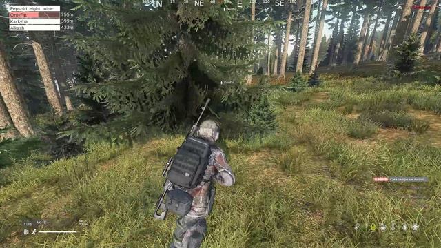 Скилл решает, а топовые шмотки тоже решают DayZ 2024.11.18
