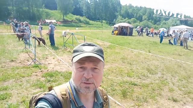 Выставка охотничьих собак МООиР