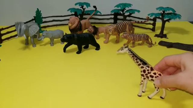 Жапайы Жаныбарлардын атын уйронобуз/ Learn Kyrgyz,wild animals/Ви смотреть онлайн