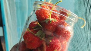 Влог 4-8.06.25 Покупки, огородные дела, покатушки и продолжаем наводить красоту!