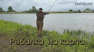 Рыбалка на карпа в плохую погоду. Готовим снасти, насадки и удилища.