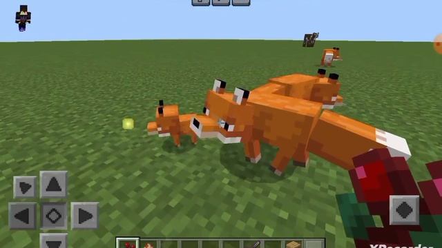 гайд как приручить лису и размножать лису в Майнкрафт? смотреть онлайн