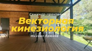 Векторная кинезиология. Здоровье через сбалансированное движение.