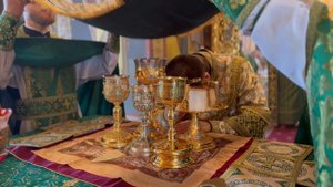 МИТРОПОЛИТ ИГНАТИЙ СОВЕРШИЛ БОЖЕСТВЕННУЮ ЛИТУРГИЮ В СВЯТО-ТРОИЦКОМ КАФЕДРАЛЬНОМ СОБОРЕ Г. САРАТОВА