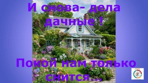 И снова дачный вопрос на повестке моего дня.