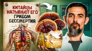 Почему ЭТОТ редкий гриб так ценят в Китае?