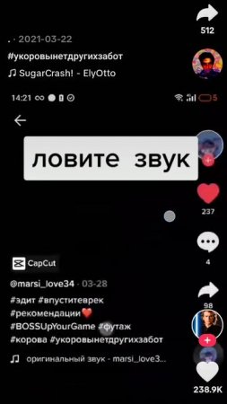 Ловите звук