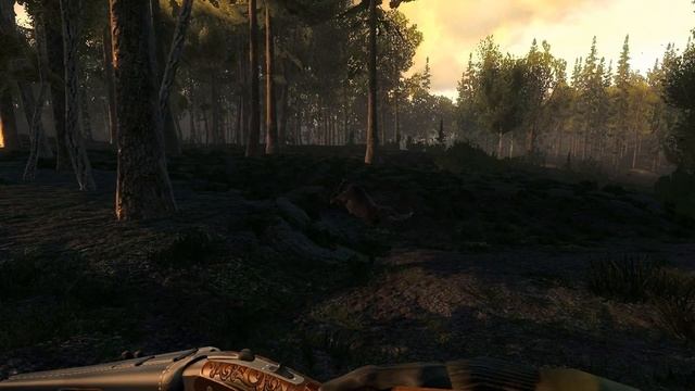 Такой Охоты На Лося Ты Ещё Не Видел The Hunter Classic смотреть онлайн