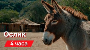 Звуки для соседей - звуки осла, месть соседям, очень неприятные