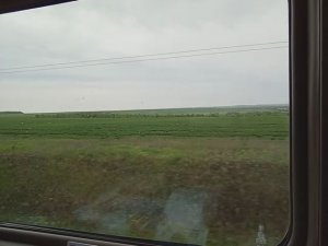 Весна в Воронежской области, недалеко от станции Зайцевка