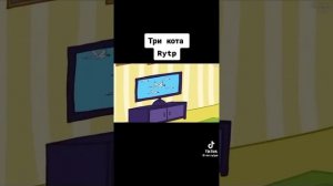 1000007100.mp4
