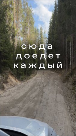Белые мосты 2025 #путешествия #поездка #карелия
