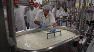 Сыроделие - сложная наука: процесс превращения молока