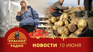 Цены на продукты вырастут из-за ГОСТов. Низкие закупочные цены на картофель. Новости 10.06.2025