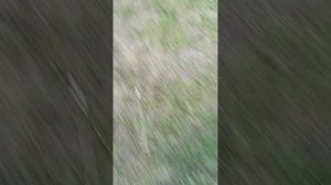 моя деревня часть 4