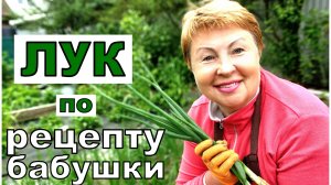 Бабушка учила -не пропусти момент с луком в июне. Сделай так от вредителей и болезней