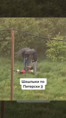 😁 Настоящее питерское застолье заметили в одном из дворов города