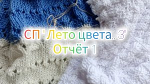 СП "А лето цвета.. 3" Отчёт 1 Участник 43