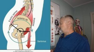 Это мышцы? Или визуальный обман? Флексия таза.