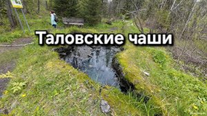 Таловские чаши. Поход выходного дня