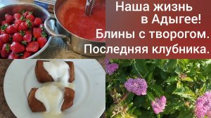 Блины с творогом/Последняя клубника/Наши будни после переезда в Адыгею/