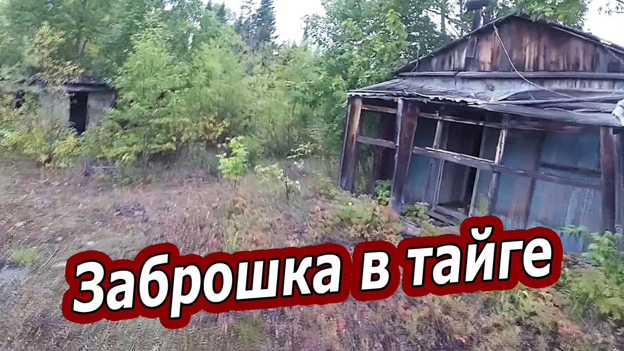 Заброшенный вахтовый поселок в тайге