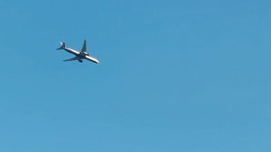 У НАС ДОЛГОЖДАННЫЕ ГОСТИ!