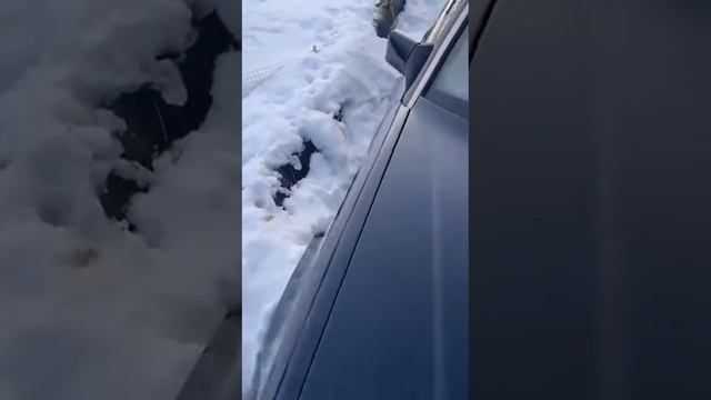 Мой Mercedes w124 300e-24 начало смотреть онлайн