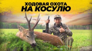 Добыл свой ЛУЧШИЙ трофей косули: Идеальная ХОДОВАЯ ОХОТА