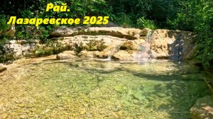 В лесу!  Лазаревское 2025